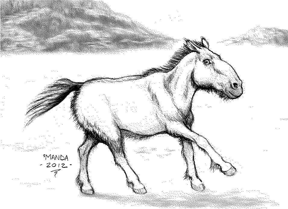hippidion