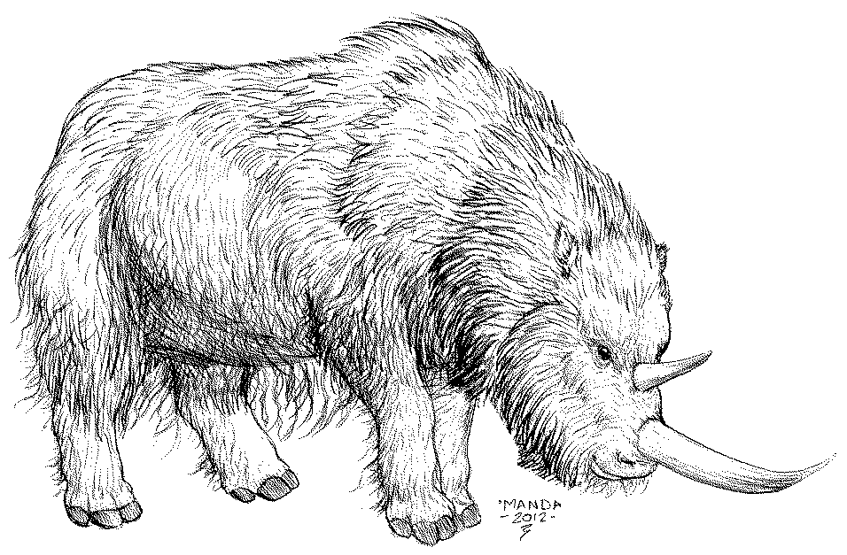 woolly_rhino